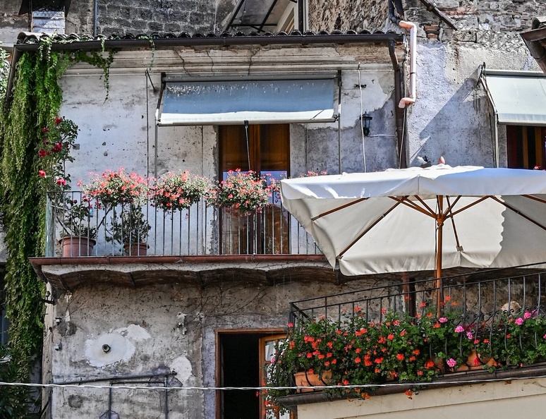 DSC 1466-k (3706 visits) DSC 1466-k