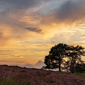 DSC01133-Itterbecker Heide - Angelika