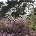 Fotospaziergang Itterbecker Heide 20.8 (23)