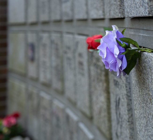  DSC2236-ta-Südfriedhof