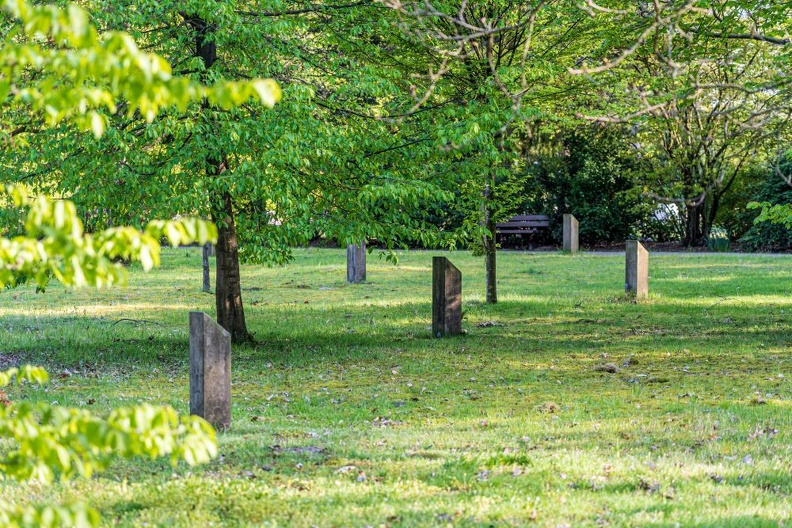  DSC2242-ta-Südfriedhof