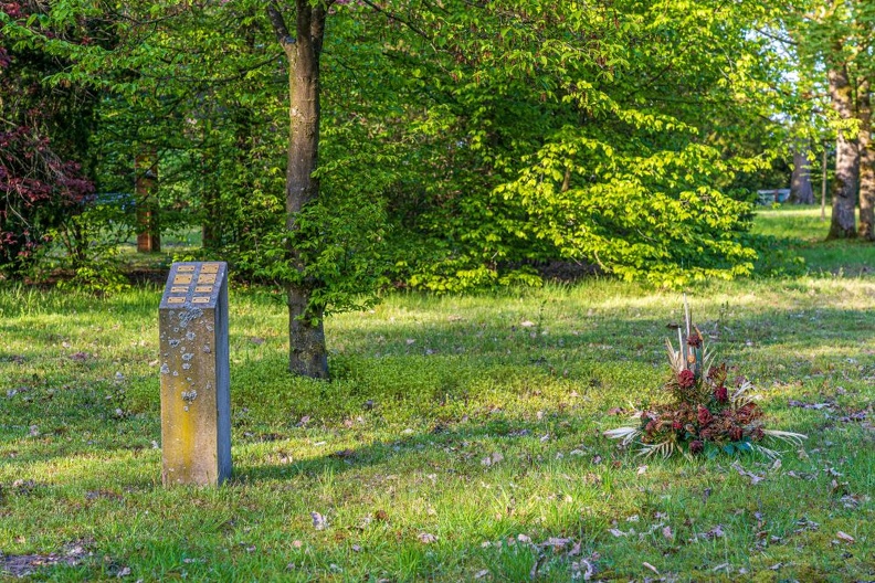  DSC2249-ta-Südfriedhof