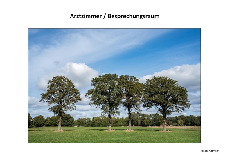 Vorschlag fuer das Arztzimmer-Besprechungsraum Puettmann
