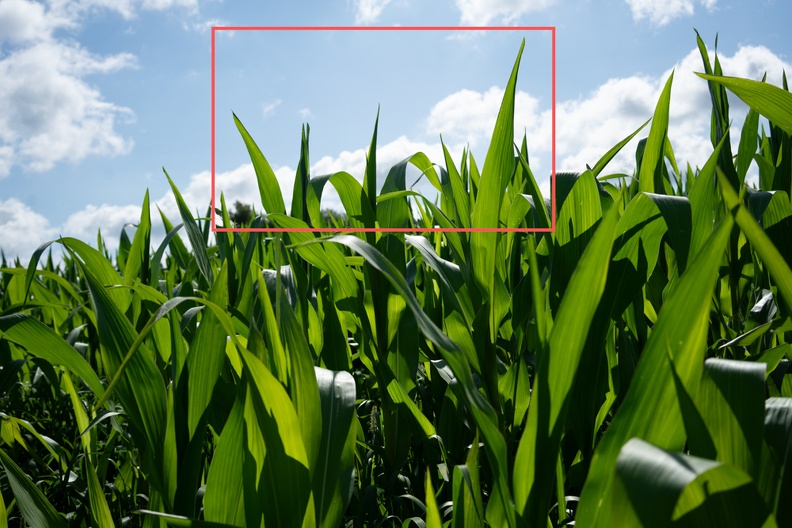 Mais 1 (2805 visits) Mais 1