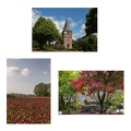 Collage 4 -  Wilsum - Hermine Kaalmink