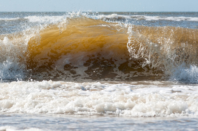 Nirbhi Schmidt waves