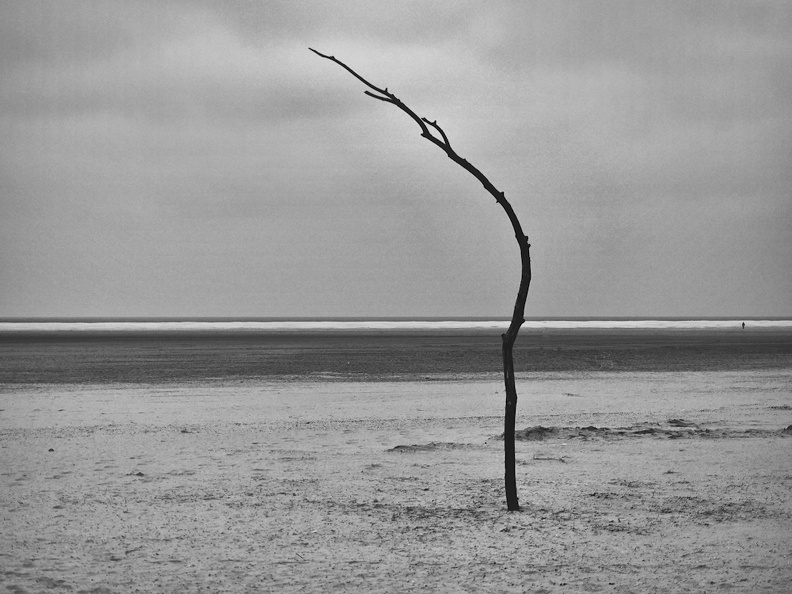 Strand04 (1151 visits) Strand04