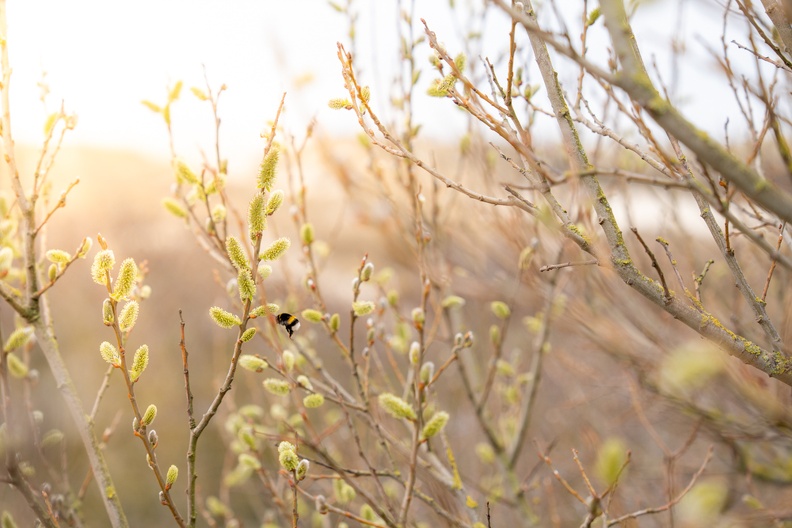 Tiere01 (1147 visits) Tiere01