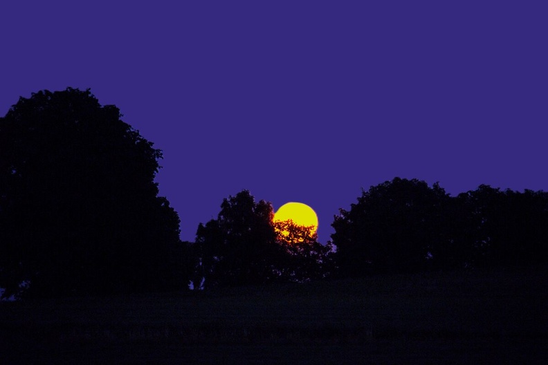 DSCF1822 (700 visits) DSCF1822