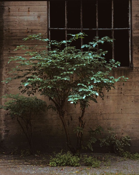 AC201972-LaPaDu (312 visits) AC201972-LaPaDu