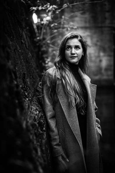 MG 7499 (10 visits) MG 7499