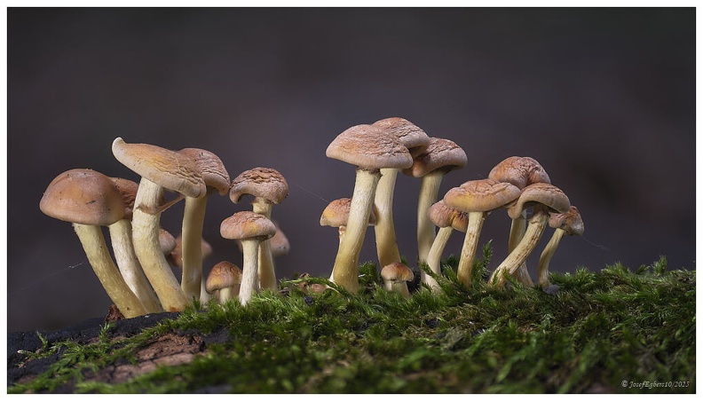 2025-10-03 17-35-15 (B,R11,S4)