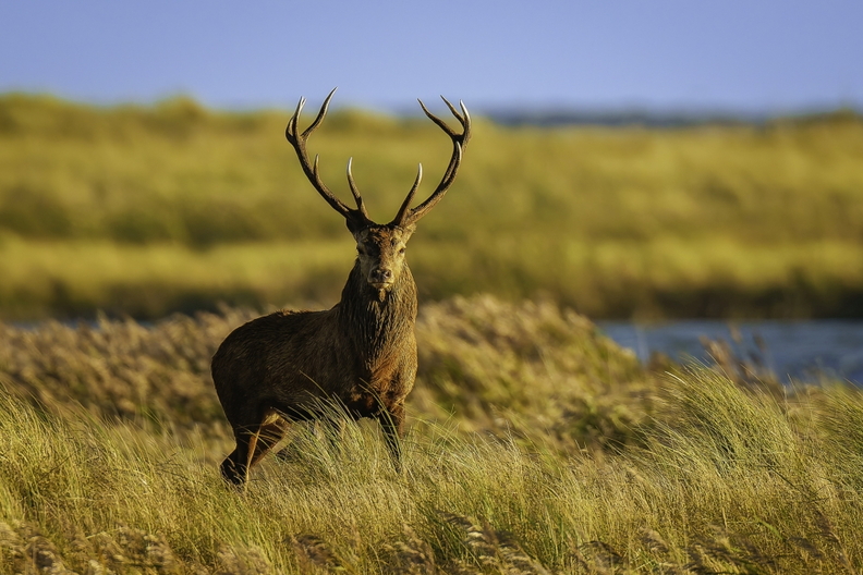 4. Platz - Bernd Dieken