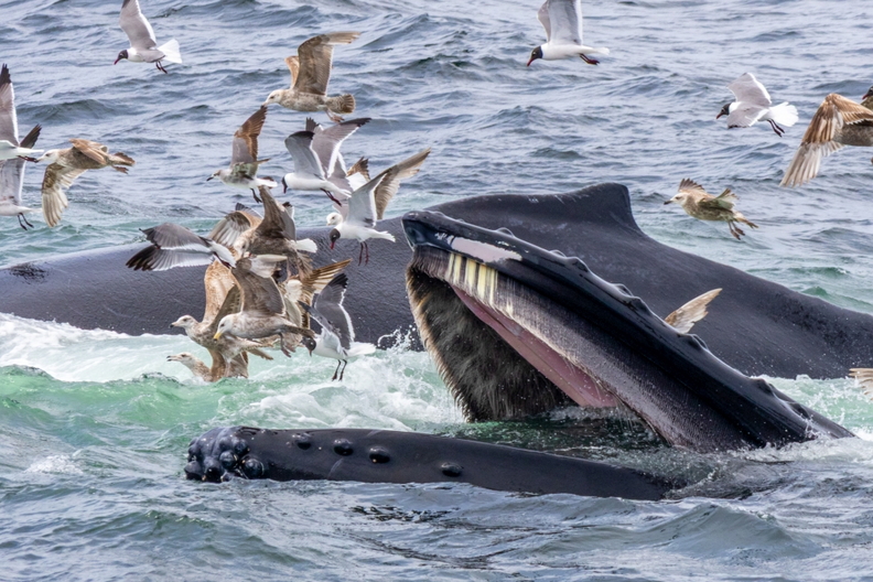 4. Platz - Eleonore Möhring