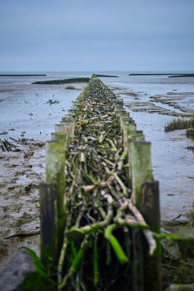 6. Platz - Holger Beernink