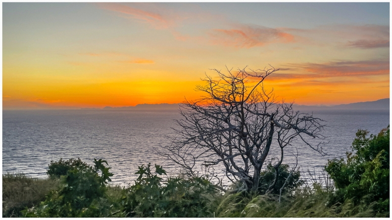 7. Platz - Hermann Brünink