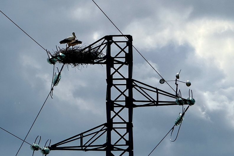 8. Platz - Wiert Krijgsveld