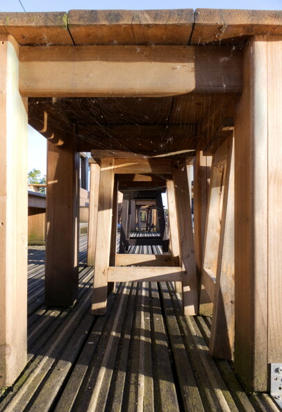 Tunnelblick (548 visits) Tunnelblick